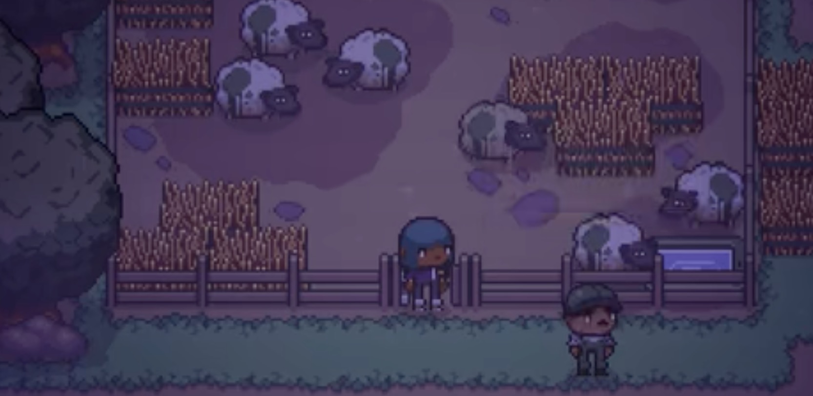 Carl's new sheep cheese products as an ethical alternative to meat